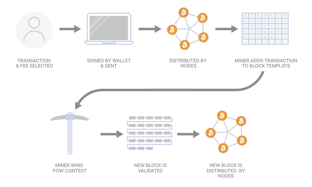 What is a bitcoin node and how does one work? - Unchained